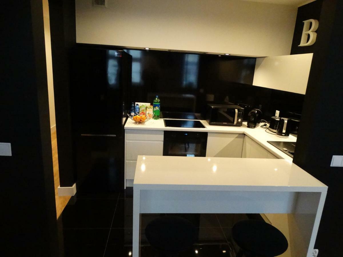 Black&white Apartment- Wierzbowa 5 Apartmán Poznaň